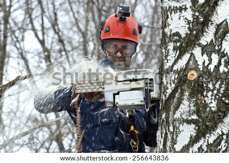 Arborist sawing wood chainsaw at the height