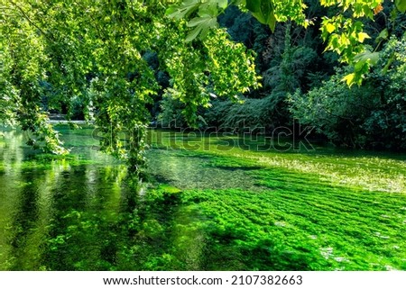 The green river La Sorgue in L'Isle-sur-la-Sorgue a town, Provence, France Stok fotoğraf © 