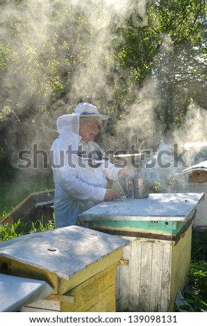 Experienced senior apiarist in his apiary setting a fire in a bee smoker