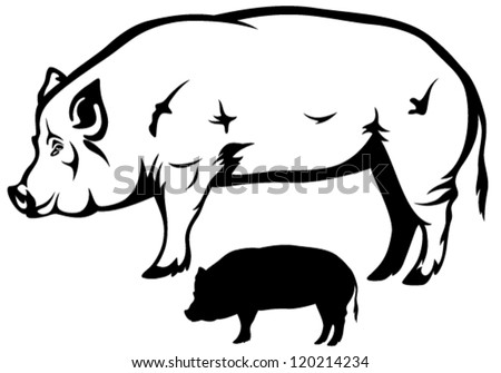 Big Hog Black And White Vector Outline And Silhouette - 120214234 ...