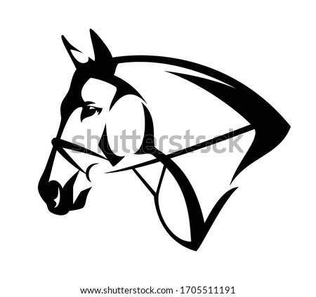 bridled horse profile head black and white evctor outline portrait