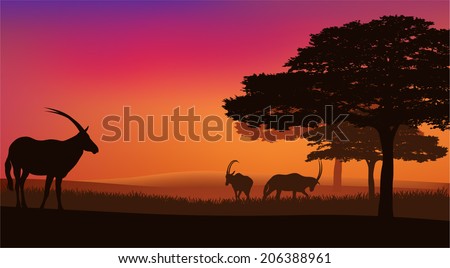African savannah with grazing antelopes sunset landscape - wildlife scene vector