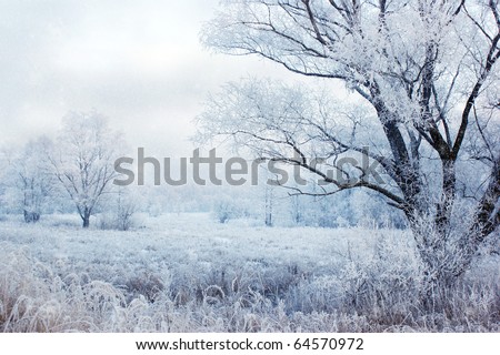 winter evening landscape with falling snow