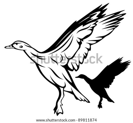 Raster - Flying Duck Illustration (Vector Version Is Available In My ...