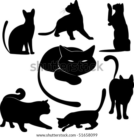 Black Cat Silhouette Collections Stock Vector Illustration 51658099 ...