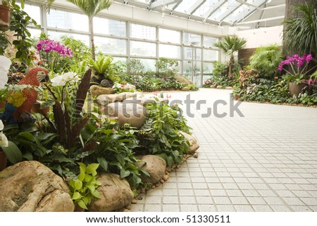 beautiful indoor garden of colorful flowers in spring