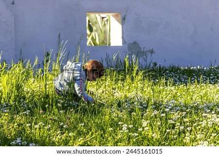 Similar – Foto Bild Nettes Mädchen Kommissionierung Frühling wilden Gänseblümchen