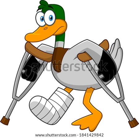 Sad Duck Cartoon Character With Crutches And Plastered Leg. Vector Illustration Isolated On White Background