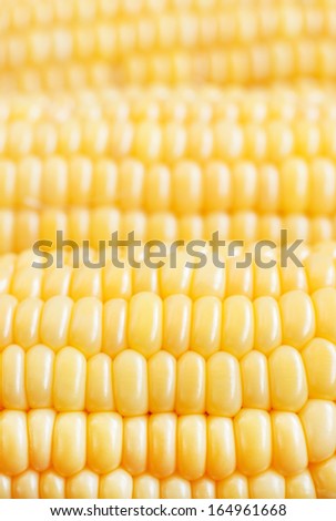 Close up of fresh organic corn, vertical macro shot