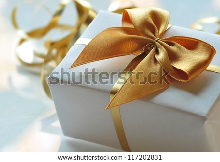 Gift in the package with ribbon