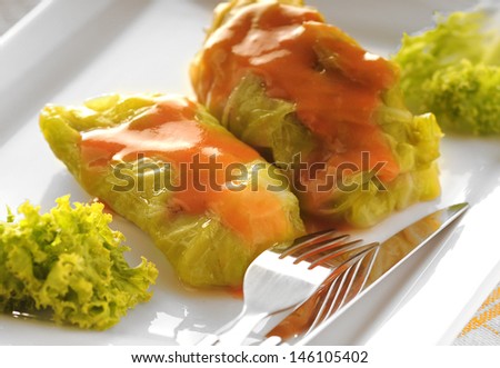 Stuffed cabbage rolls with tomato sauce on the white plate.
