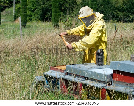 Traditional animal husbandry. Beekeeping and honey production.