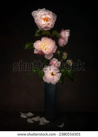 Similar – Image, Stock Photo Still Life with Rose