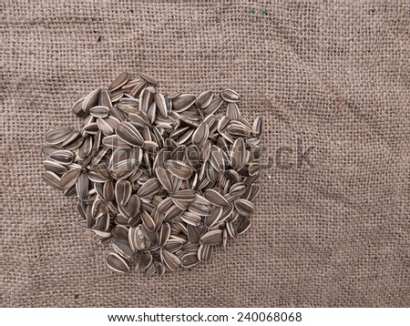 Wild bird food - sunflower seeds on hessian.
