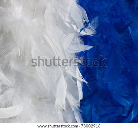 Blue and white feather boa background