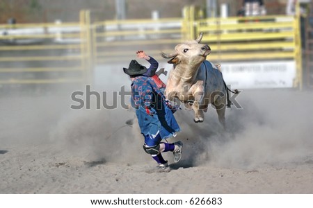 Rodeo clown being charged by bull