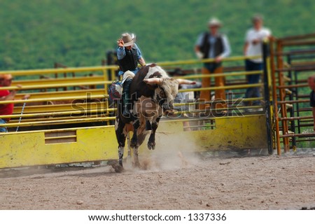 Bull rider riding bull
