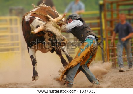 Bull rider with hand stuck on bull