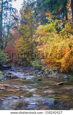 Mountain river. Gravel with colorful beech and maple leaves. Fresh green mossy stones and boulders on river bank after rainy day.
