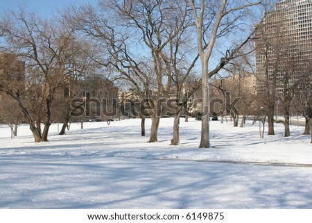 Winter in the City, Chicago