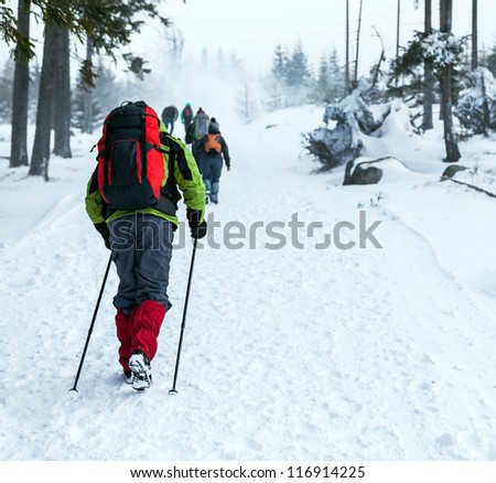 People on winter hike in mountains. Hikers walking on snowy trail, cold nature environment in wilderness forest.