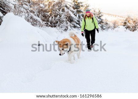 Woman hiking in winter mountains with akita dog. Female hiker walking on white snow with her dog friend, sport and recreation outdoors in forest nature, Poland.