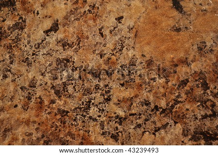 Standard of texture of stone