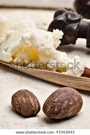 still life of two shea nuts with shea butter on the background