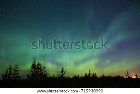 Similar – Image, Stock Photo Northern lights over conifer trees