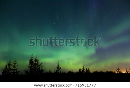 Similar – Image, Stock Photo Northern lights over conifer trees