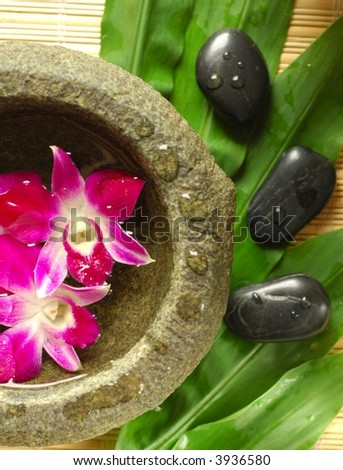 Purple orchids in perfumed water, therapy stones on green leaves