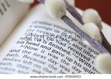 Open Bible with selective focus on the text in John 19:30 with Jesus\' last words on the cross: \