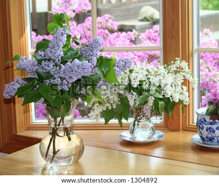 Flower vases  sitting inside of  window - blooming shrubbery and spring scenery  outside of window.