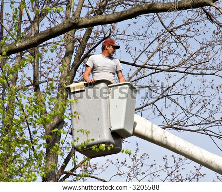 Tree Worker evaluating the job from a bucket truck