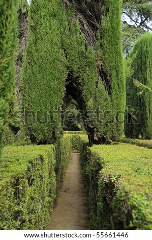 Narrow passage through sculpted shrubs in a maze inside the Royal Alcazar in Seville