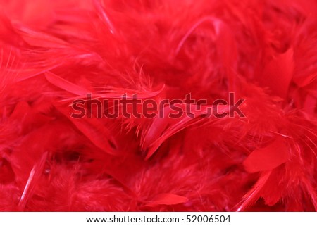 Red feathers as background