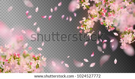 Similar – Image, Stock Photo Branches with spring flowers in the rain at the lake with rain tropics