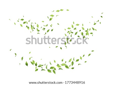 Flying green leaves. Set of waves formed by green leaves