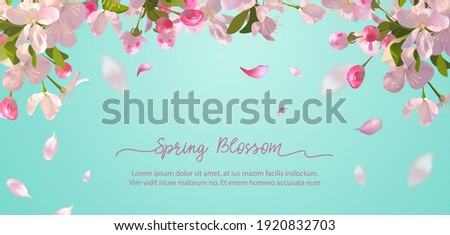 Sakura flowers and flying petals on spring background