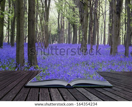 Creative concept pages of book Beautiful carpet of bluebell flowers in Spring forest landscape