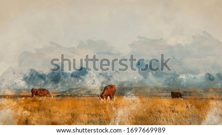 Digitally created watercolor painting of Beautiful Summer evening landscape image of cows grazing in English countryside