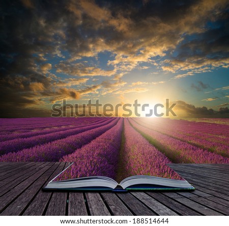 Book concept Stunning Summer sunset over lavender field landscape