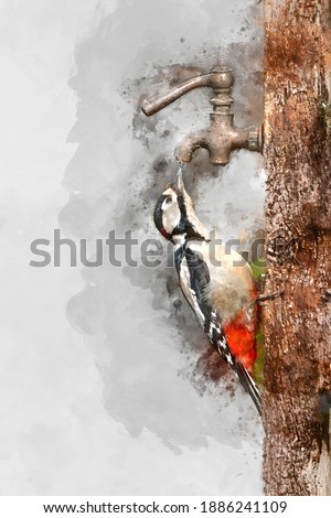 Digital watercolor painting of Beautiful image of Leser Spotted Woodepecker Dendrocopos Minor on side of wooden post in Spring sunshine feeding from tap