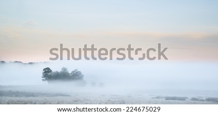 Beautiful thick fog sunrise Autumn Fall landscape over fields with treetops visible through fog