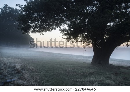 Beautiful Autumn Fall sunrise foggy landscape over frost covered field and forest