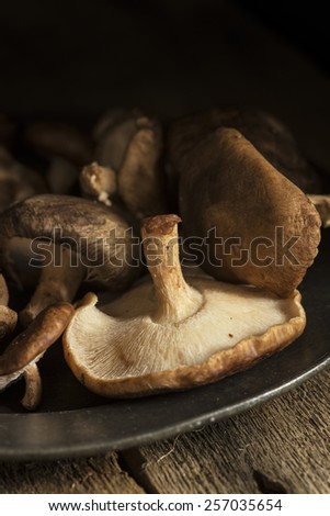Fresh shiitake mushrooms in moody natural light setting with vintage style