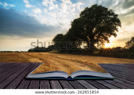 Beautiful Summer sunset over field of hay bales in countryside landscape conceptual book image