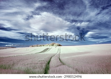 Surreal false color infrared Summer landscape over agricultural fields