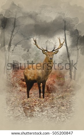 Watercolor painting of Beautiful image of red deer stag in forest landscape of foggy misty forest in Autumn Fall