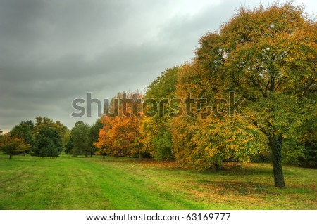 Vivid Autumn Fall scene with excellent detail and vibrant colors